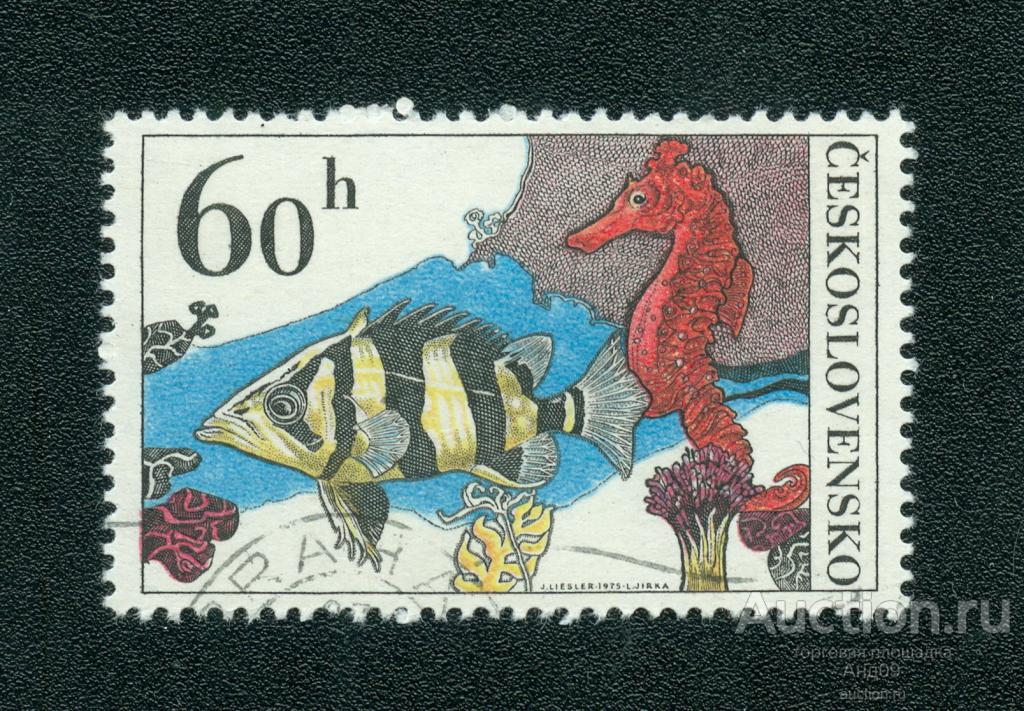 1975 г. Чехословакия - Мелкая тигровая рыба и морской конек (0580f)