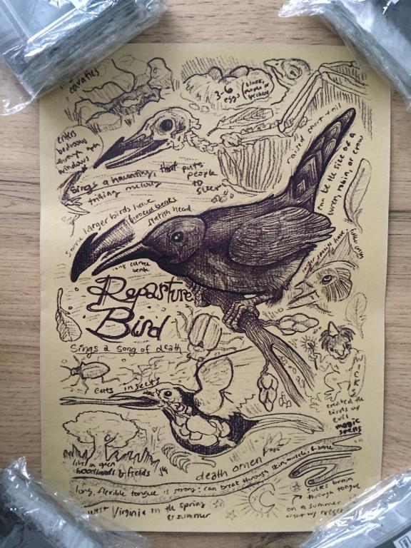 Repasture Bird постер плакат 21х30 см