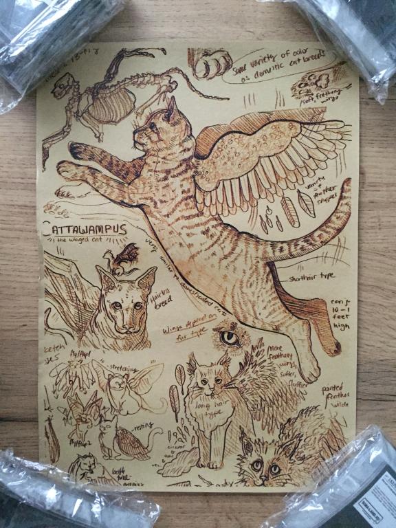Cattawampus постер плакат 21х30 см