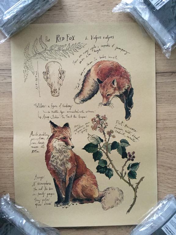 The Red Fox постер плакат 21х30 см