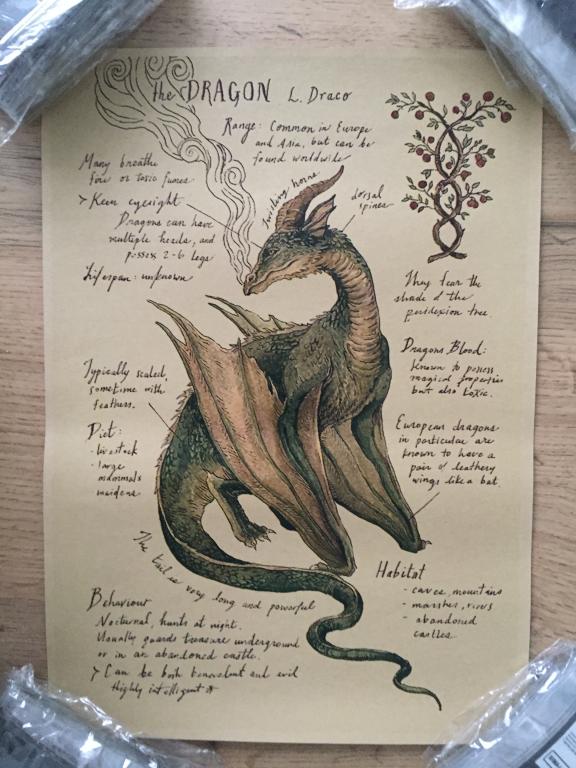 The Dragon постер плакат 21х30 см