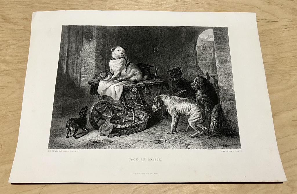 Англия Джек в офисе Собаки Гравюра Лансере 1880