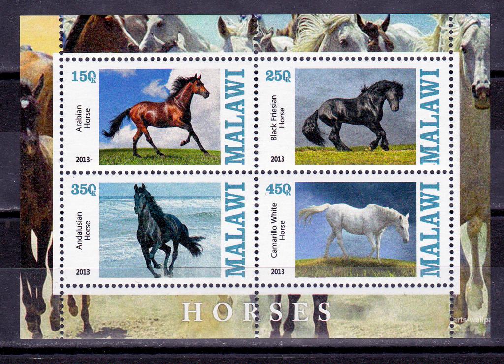 Марки Малави 2013 г Лошади Блок MNH ** Фауна Кони