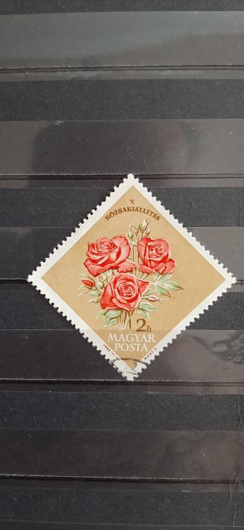Венгрия флора цветы розы Национальная выставка роз Будапешт 1963 гашёная