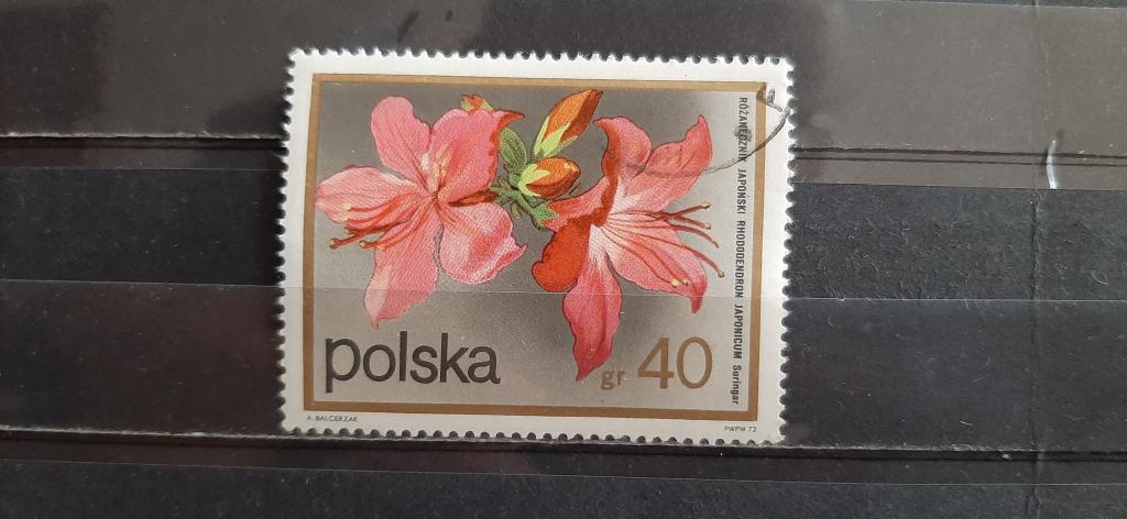 Польша флора цветы японский рододендрон 1972 гашёная