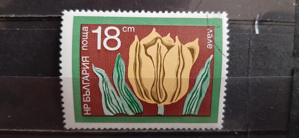 Болгария флора цветы тюльпан 1974 гашёная
