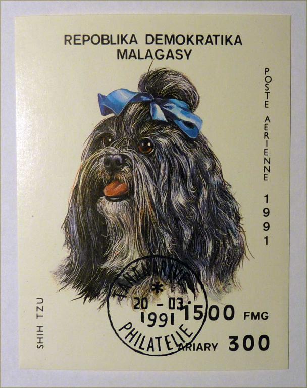 Мадагаскар блок 1991 год Собака Ши-тцу