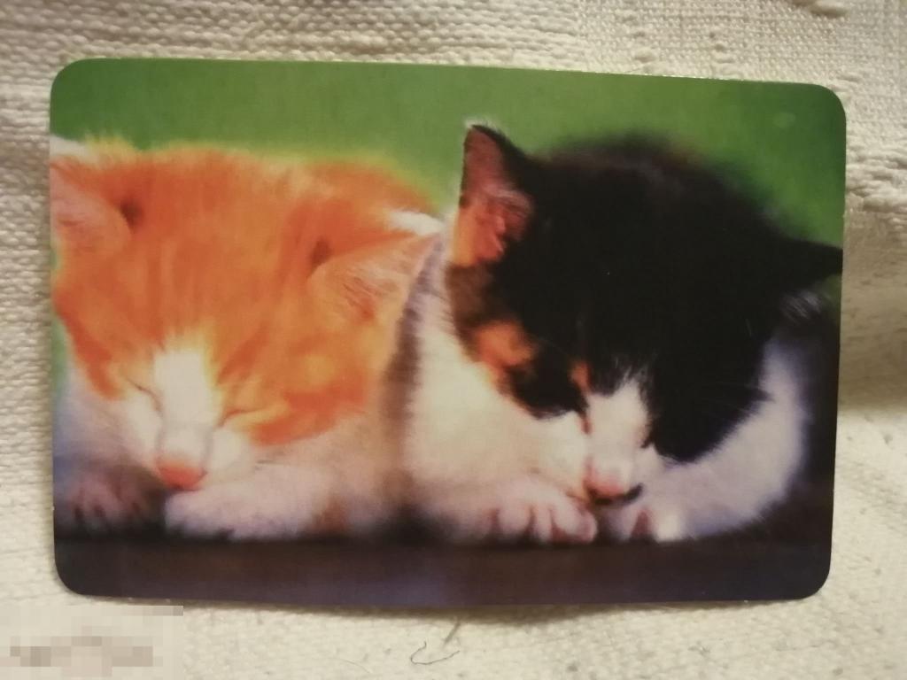 Календарик.Котята.2002 год (кален.м.к). 
