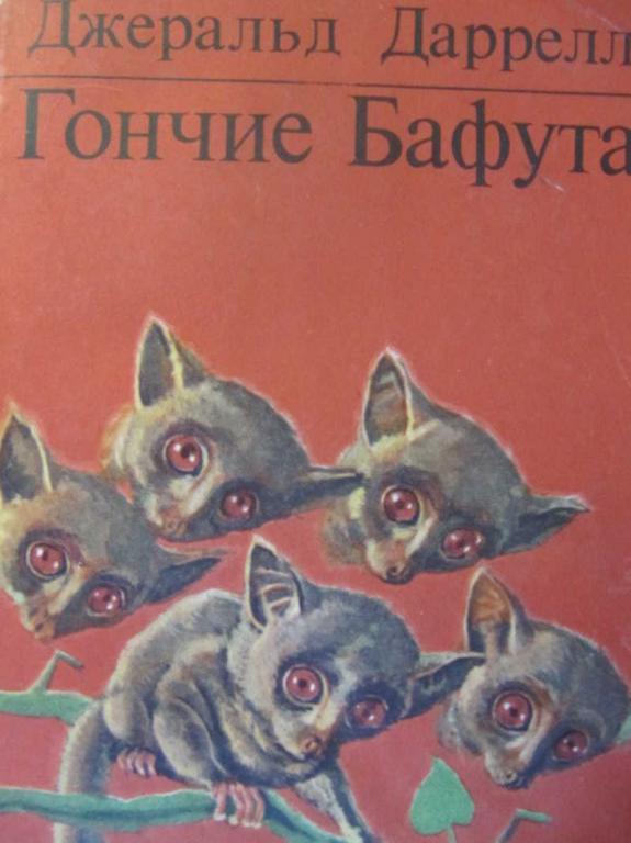Гончие бафута картинки