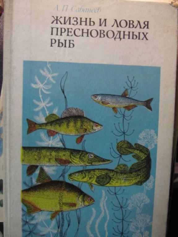 #1371159 Сабанеев Л. П. Жизнь и ловля пресноводных рыб