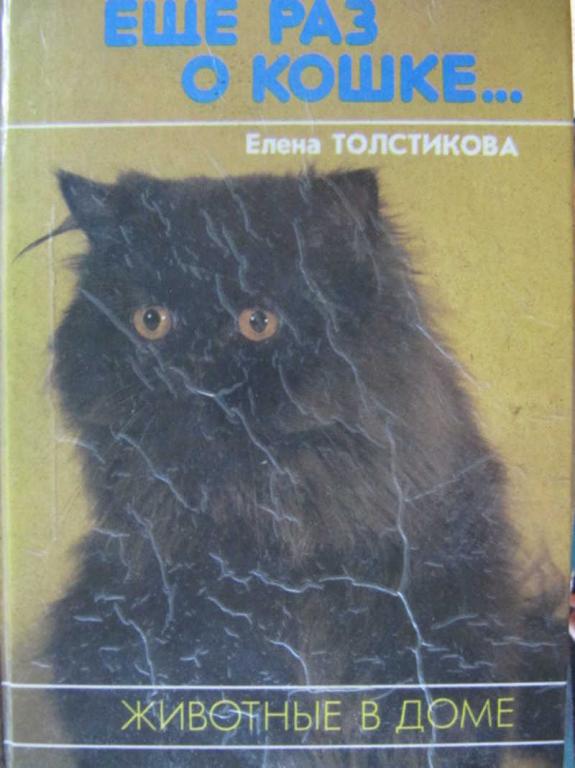 #851503 Толстикова Е. Еще раз о кошке…