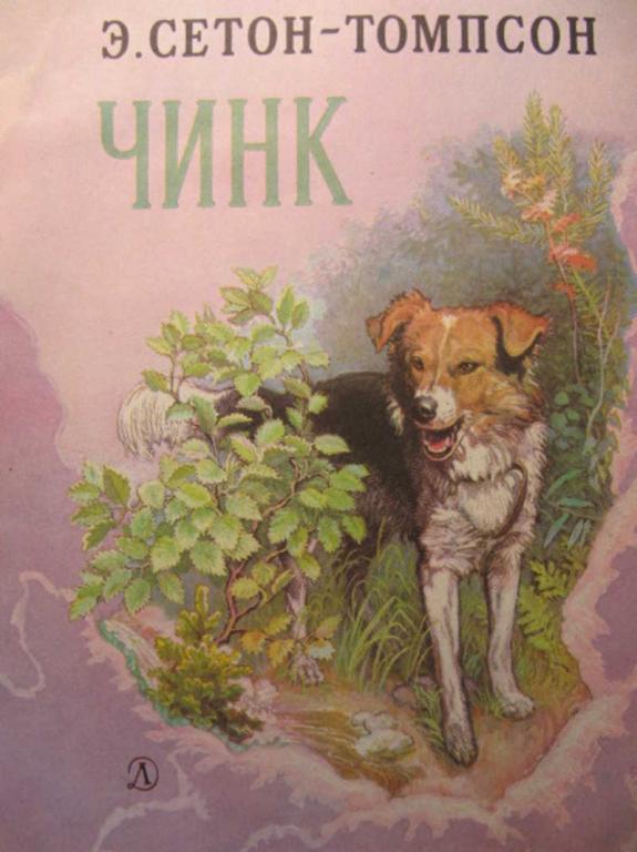 Чинк план рассказа краткий
