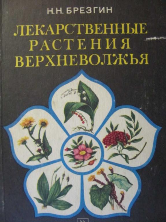 #961928 Брезгин Н. Н. Лекарственне растения Верхневолжья