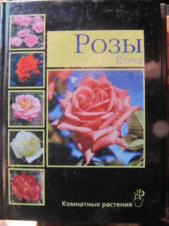 #1476803 Курлович А. Е. Розы