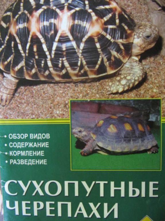 #737271 Гуржий А. Н. Сухопутные черепахи
