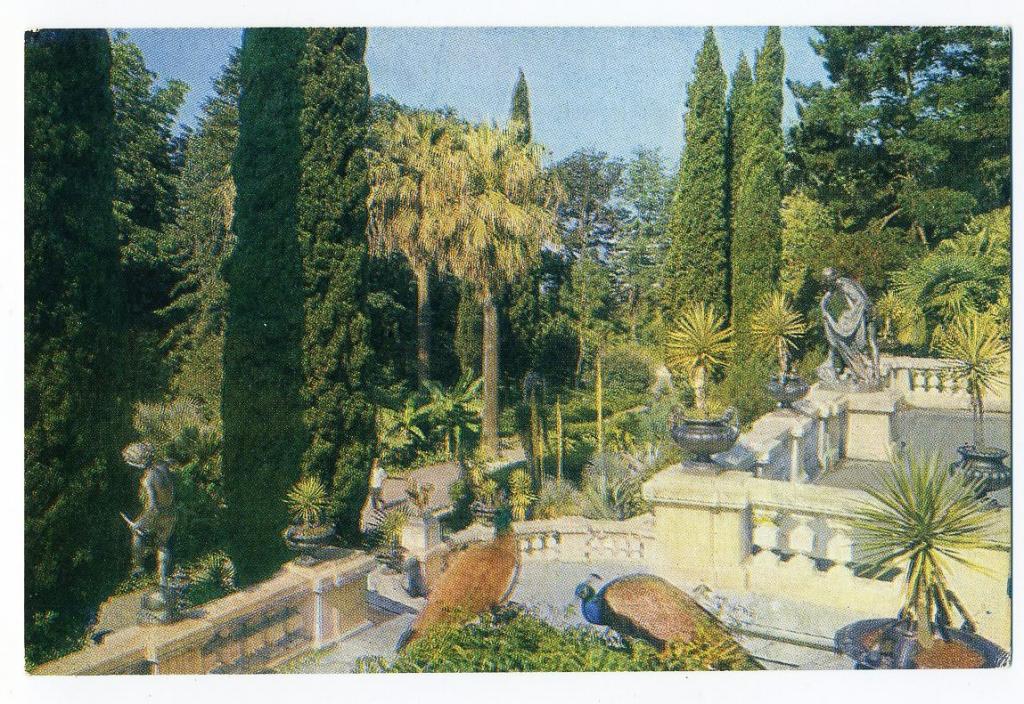 Сочи - Парк Дендрарий - Панов В - 1977 год (59-А)