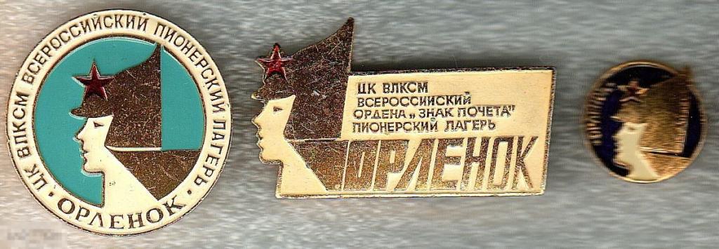 Как выглядит значок орлят