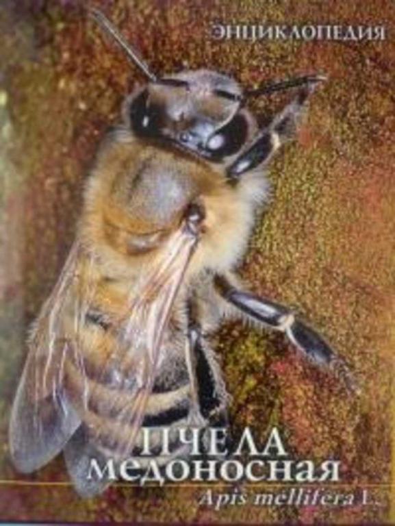 #807275 Ред. Бутов Арнольд Пчела медоносная. Apis mellifera L. Энциклопедия