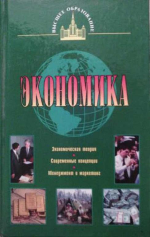 #450709 Ильин С. С., Васильева Т. И. Экономика