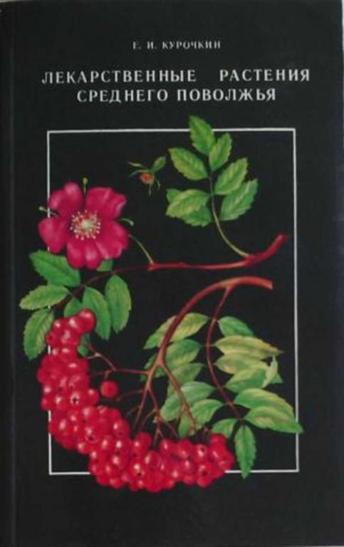 #1230469 Курочкин Е. И. Лекарственные растения Среднего Поволжья