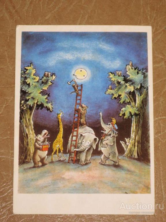 В.КОНАШЕВИЧ иллюстрация Чуковского Тараканище 1969 г. жираф слон бегемот медведь мартышка чистая