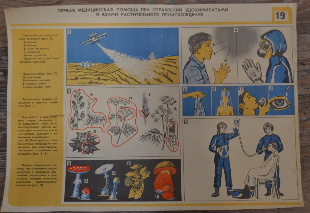 Плакат - Первая медицинская помошь при отравлениях ядохимикатами и ядами