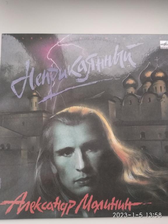 Виниловый диск LP "Неприкаянный". Александр Малинин. Мелодия. 1991 г