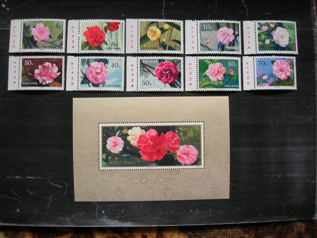 Китай 1979 флора: цветы (камелии) (T37)  MNH