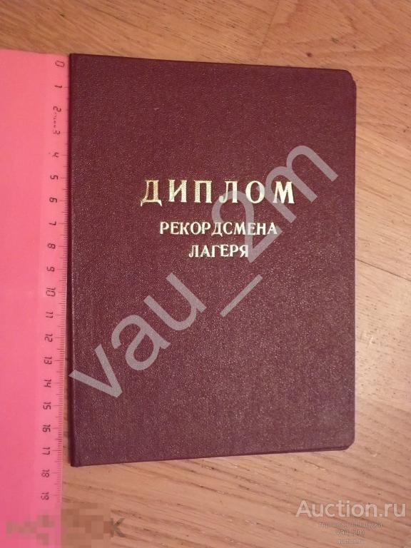 Диплом рекордсмен лагеря пионерский лагерь "Солнечная поляна" Звенигород спорт 