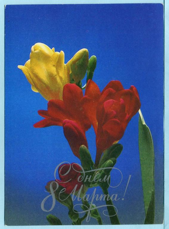 СССР (Г1666) ДМПК Маркированная Чистая С днем 8 Марта! 1986 Цветы Цупрова