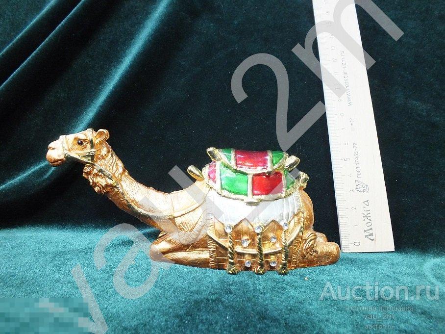 Купить Верблюда Цена Живого В России