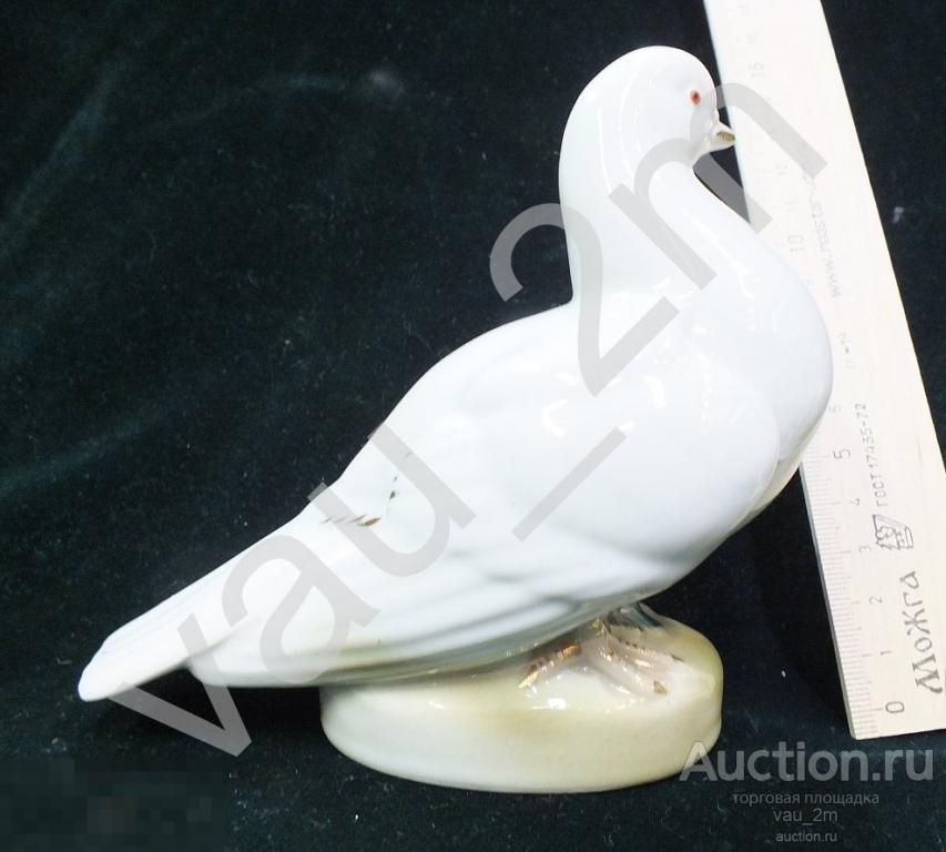 Голубь голубок голубка птица птичка 