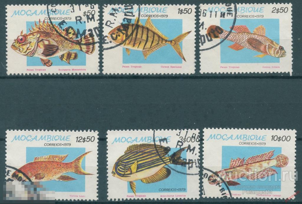 Y85 МОЗАМБИК 1979 706-711 Тропическая рыбы. Фауна 