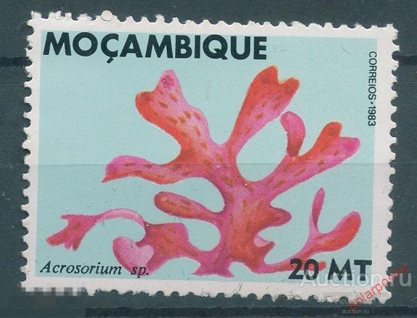 Y85 МОЗАМБИК 1983 927 Морские водоросли 