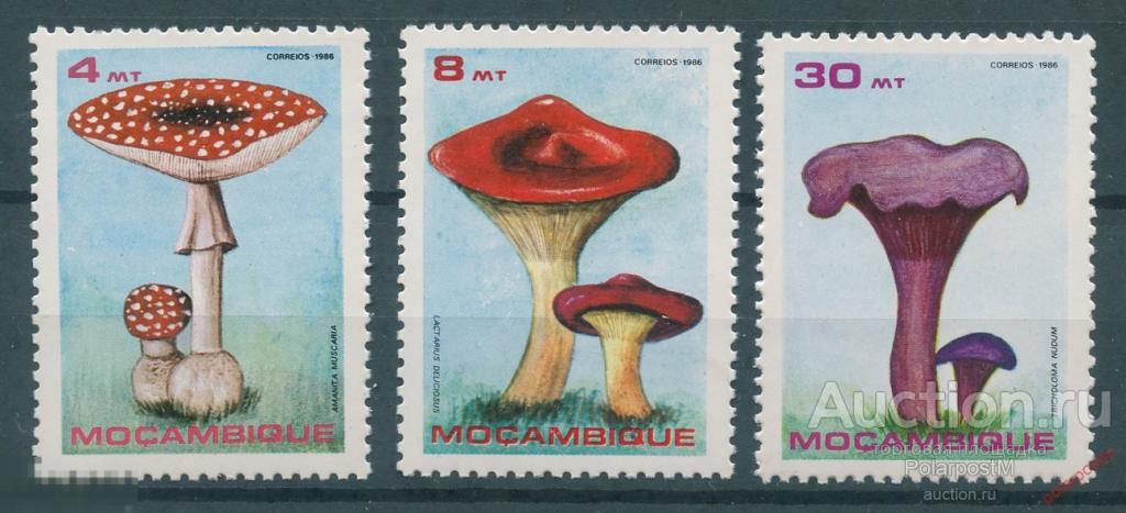 Y85 МОЗАМБИК 1986 1057+ Грибы. Флора. Растения 