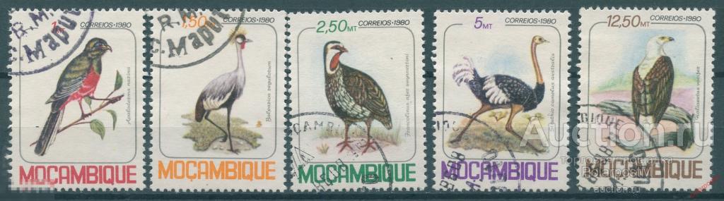 Y85 МОЗАМБИК 1980 771+ Птицы. Фауна 