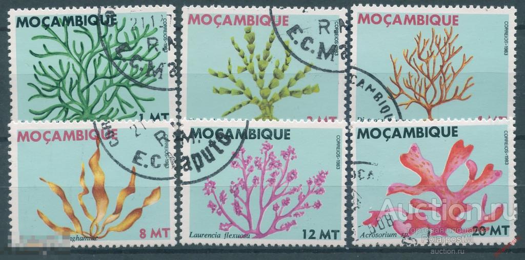 Y85 МОЗАМБИК 1983 922-927 Морские водоросли 