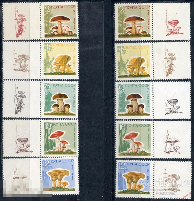 Е150 СССР 1964 3036А-3040А (3123А-3127А) ГРИБЫ, ПРАВЫЕ+ЛЕВЫЕ КУПОНЫ (РЕДКАЯ) 