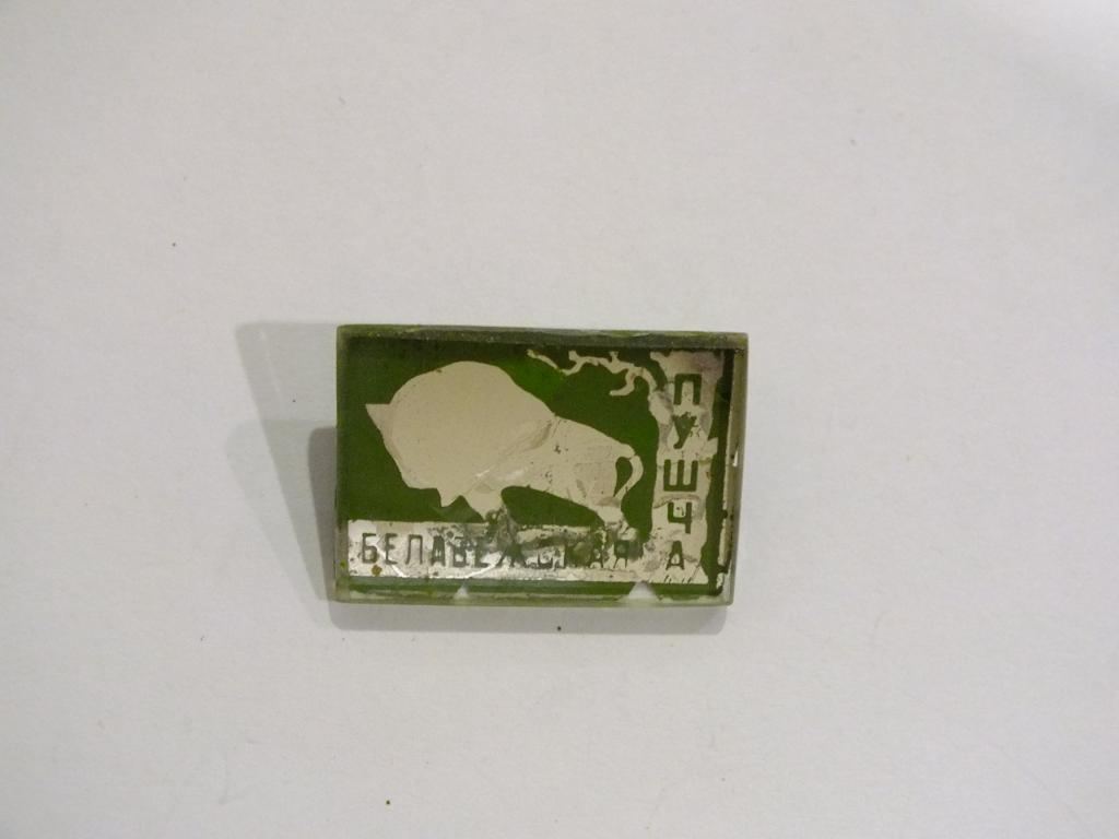 Коллекция знак значок  Геральдика и Другие Беловежская Пуща Стекло Г 63 Более 2000