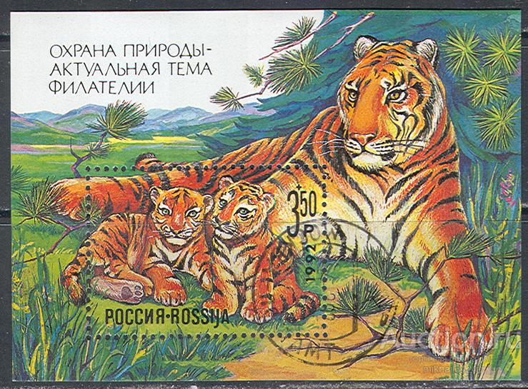 1094 ✅ Фауна Животные Дикие кошки Тигры 1992 Россия Блок СТО Гашеный