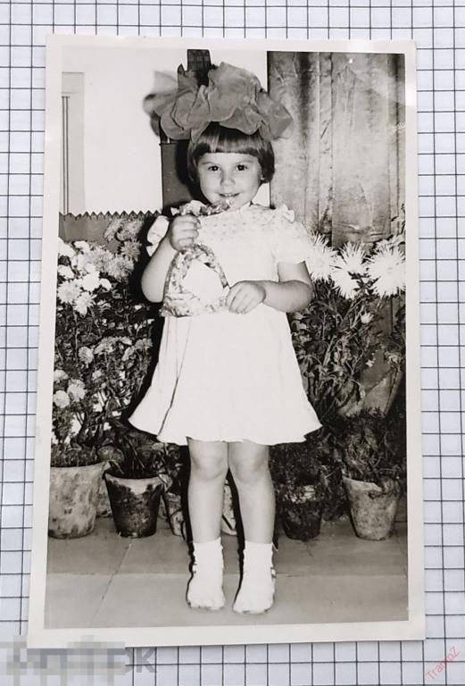 Фотография девочка в платье с бантами, подарок, цветы #59* 