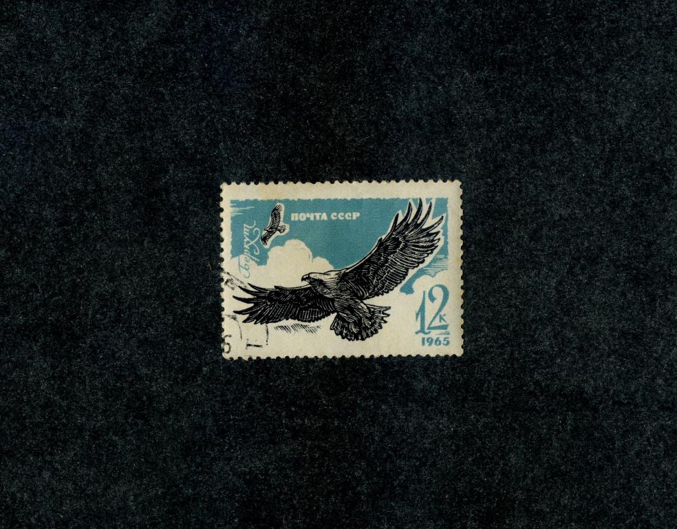 СССР 1965 год,Хищные птицы - Беркут марка гашенная.