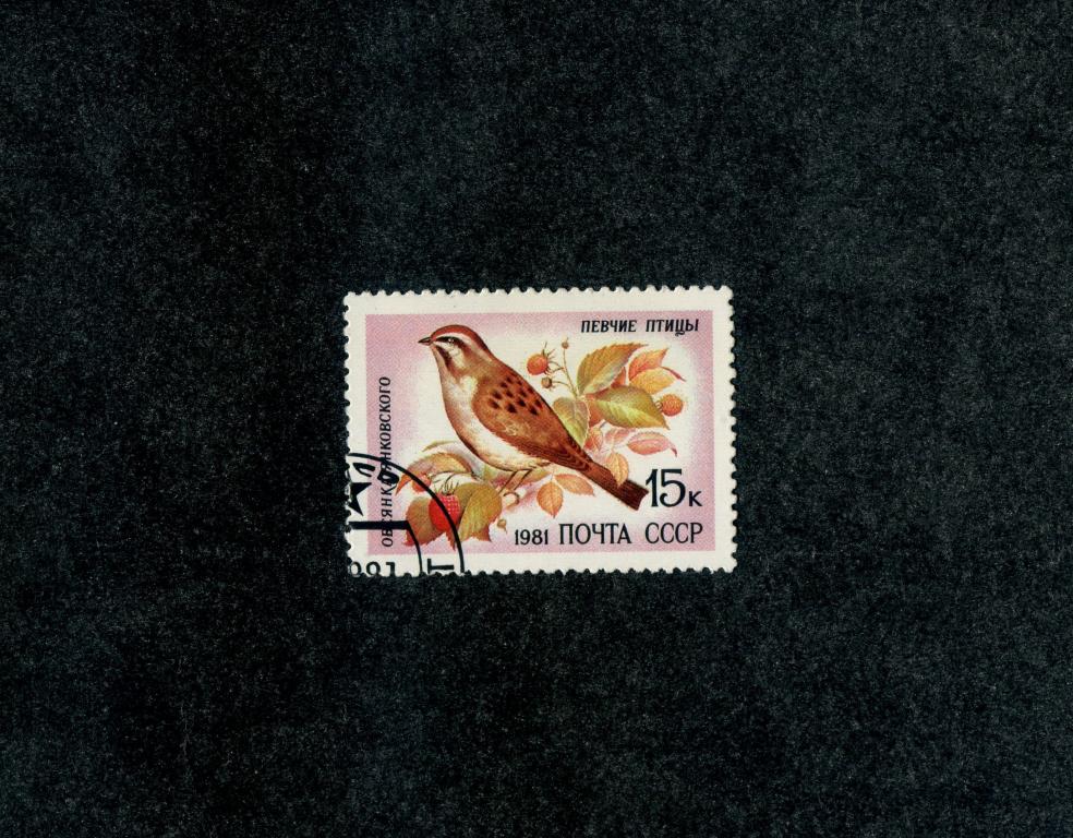 СССР 1981 год,Певчие птицы марка гашенная.