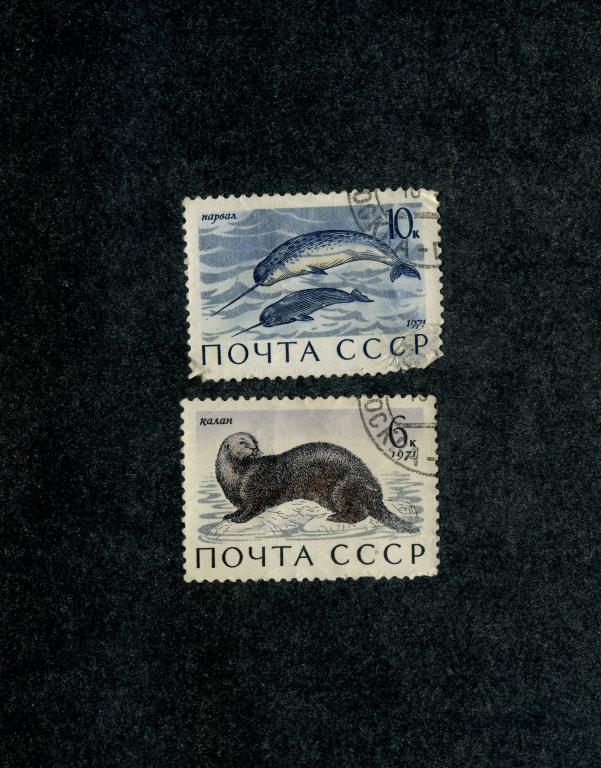 СССР 1971 год,Млекопитающие обитатели морей и океанов марки гашенные.