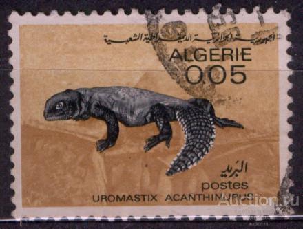 Алжир фауна