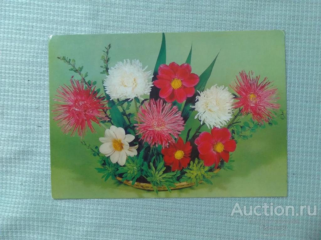 открытка почтовая карточка Цветы 1983 г. фото Б.Круцко ЧИСТАЯ (86)
