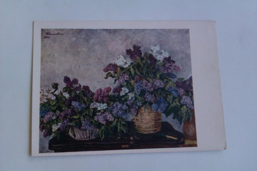 Открытое письмо П. П. Кончаловский Сирень, 1954г.