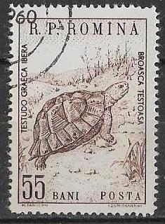 Румыния  1960 г.  Черепаха Фауна, гаш.