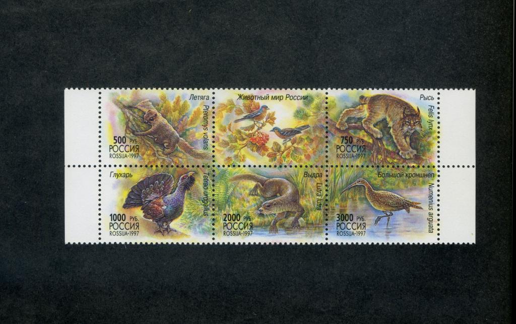 Россия 1997 год,Фауна.Животный мир России.Сцепка 5 марок и купон.