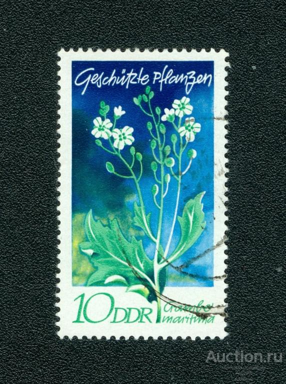 1970 г. ГДР - Морская капуста (1066f)